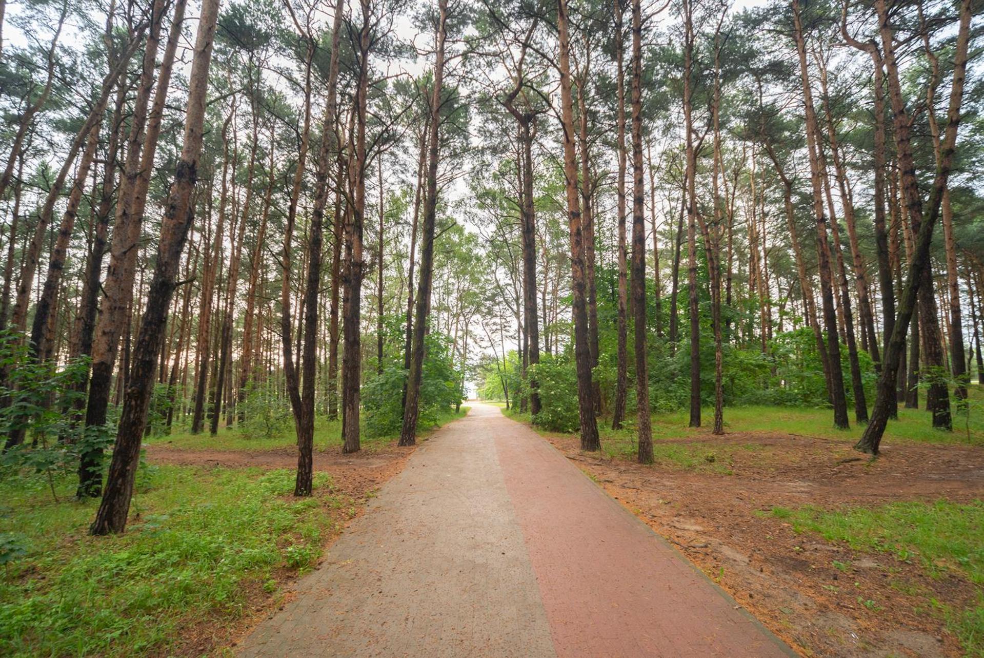Apartament Wygodny Сопот Экстерьер фото